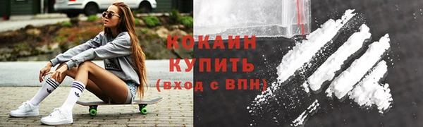 трава Наволоки