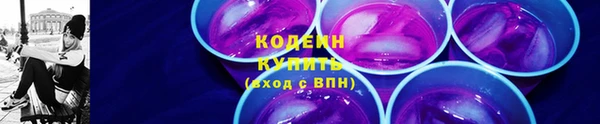 индика Нефтегорск