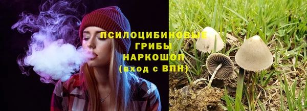 индика Нефтегорск