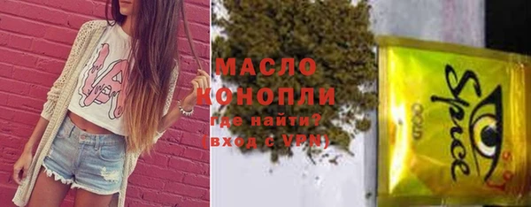индика Нефтегорск