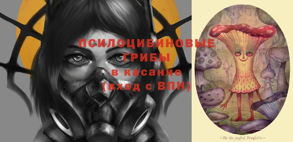 PSILOCYBIN Новокубанск